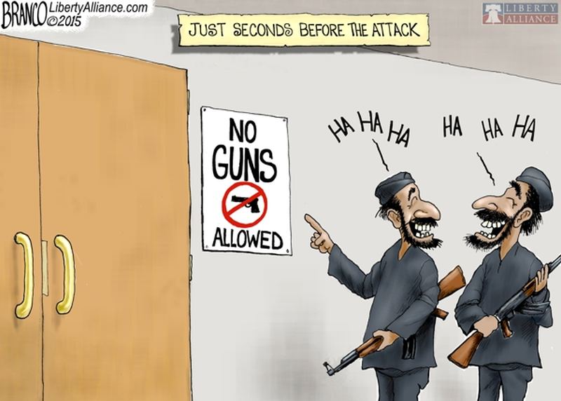 This comic displays how people are more likely to attack gun free zones.