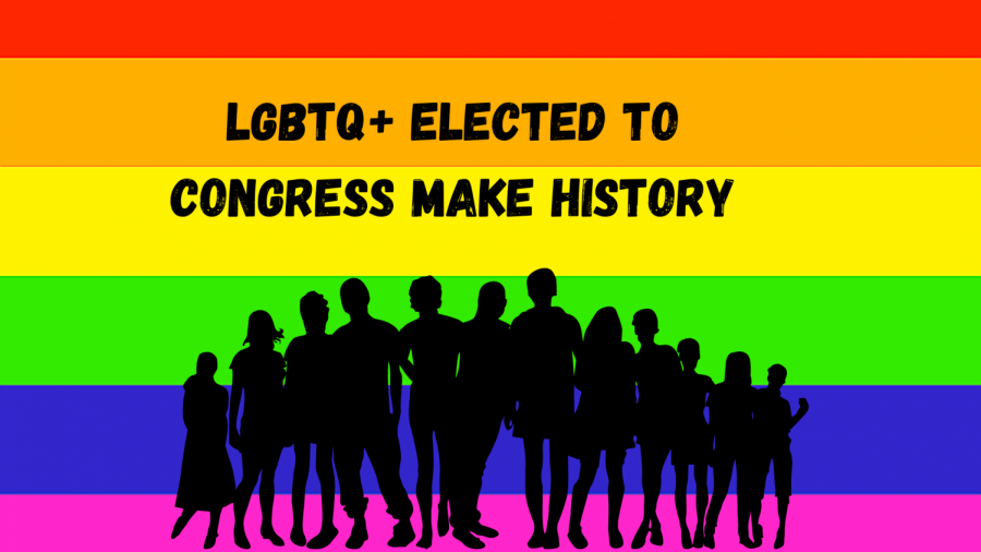 LGBTQ+ candidates make history by being elected to the government in 2020.