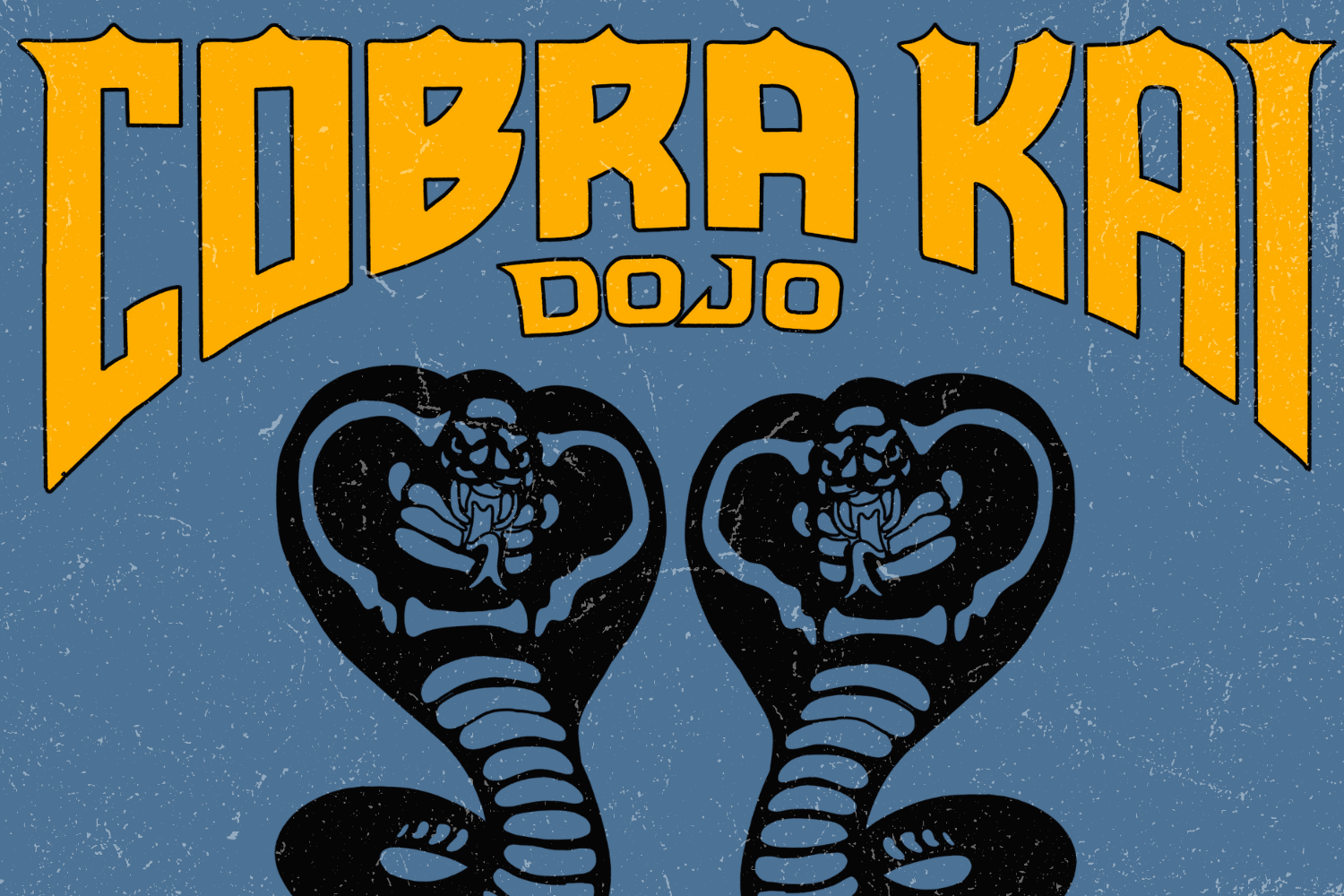 Cobra Kai or Miyagi-Do, Which Characters Belong to Which Dojo in