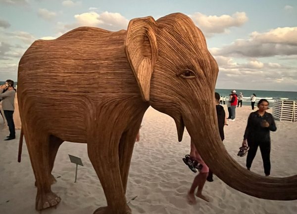 The wooden elephants were made 100% from lantana, a weed endangering the habitats of elephants in India