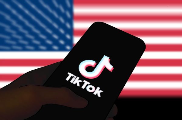 The TikTok ban raises debates about its implications for Americans' digital innovation, source of incomes and the rights to free speech and expression.